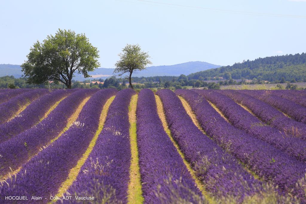 Les Terrasses - Gordes Guest House Exterior photo